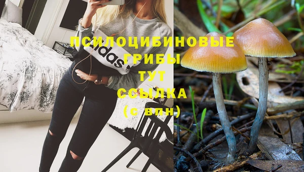 марки nbome Богородицк