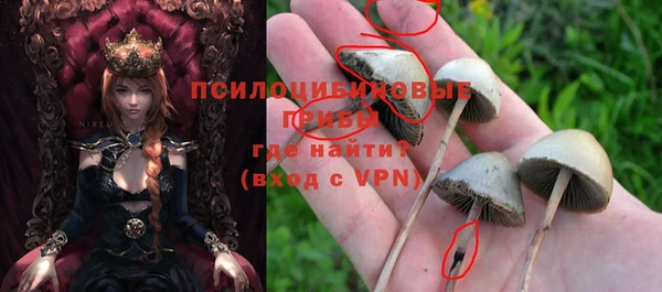 ALPHA PVP Богородск